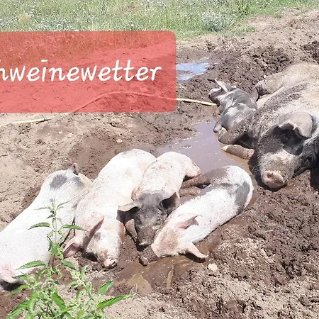 דירה Kleine Ferienwohnung Jagdzimmer Auf Bauernhof In Alleinlage *